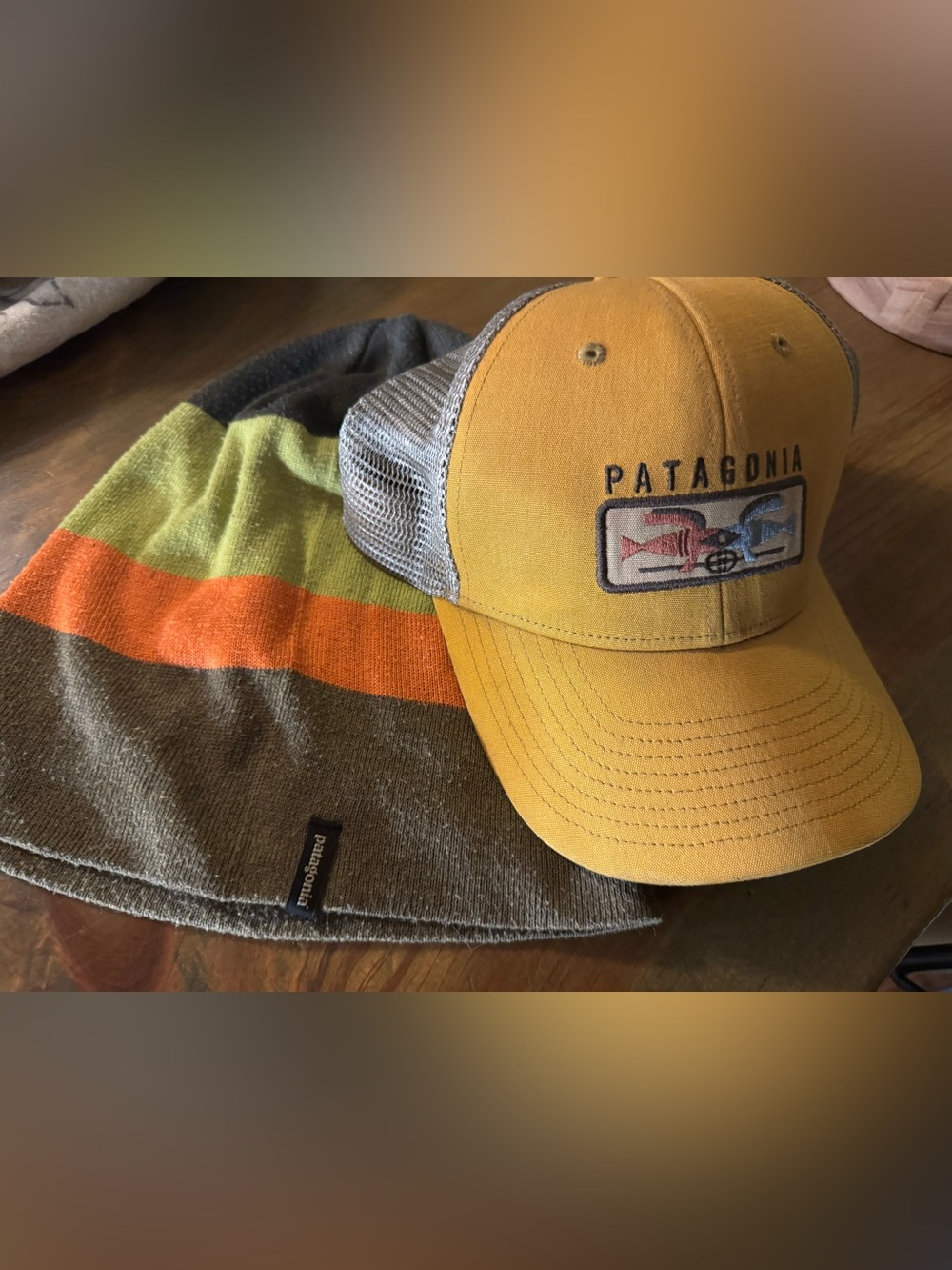 Patagonia Fitz Roy Trout Trucker Hat and Winter Hat Combo